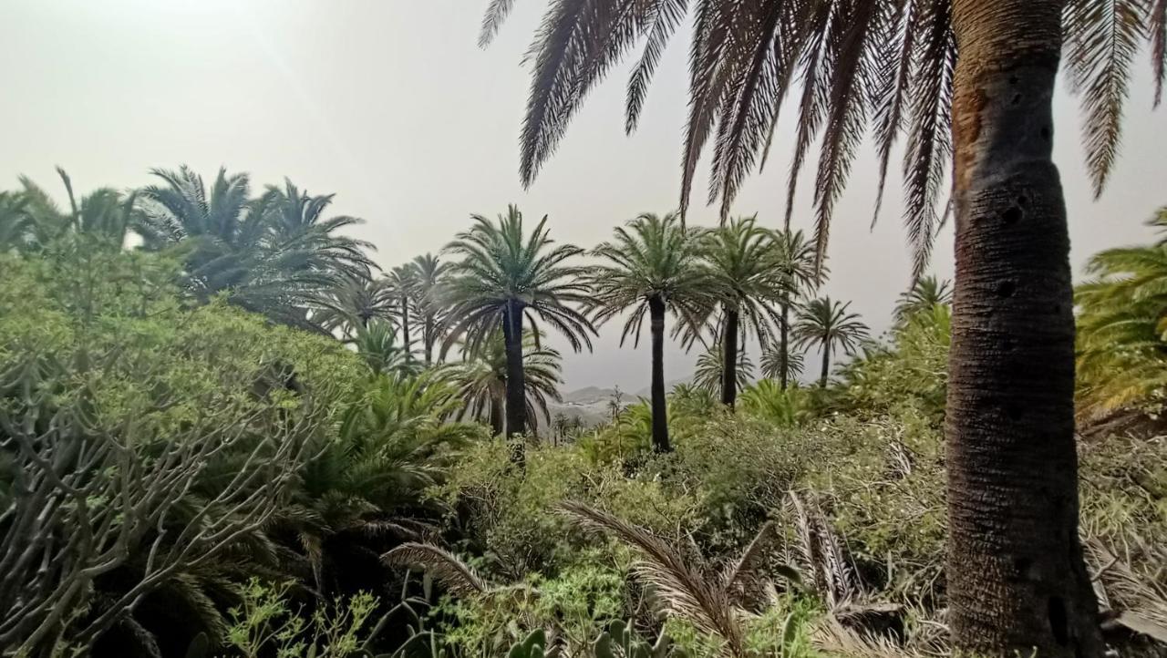 Alquilaencanarias Casa La Playa La Gomera Alojera 外观 照片