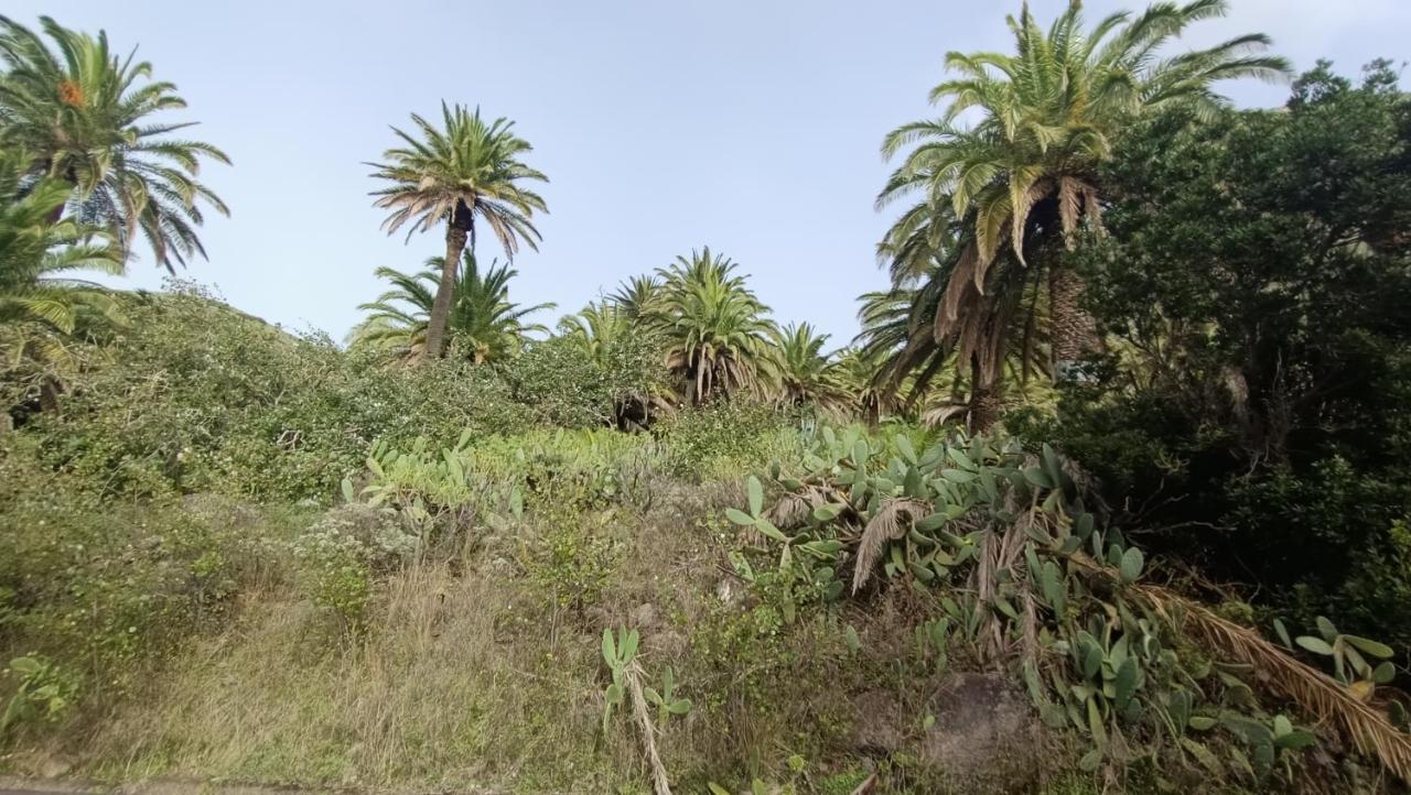Alquilaencanarias Casa La Playa La Gomera Alojera 外观 照片